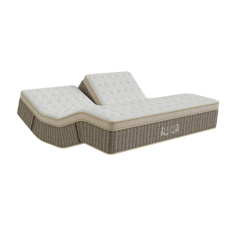 Grand Legacy Perfect Posture Cushion Firm Mattress