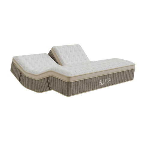 Grand Legacy Perfect Posture Medium Firm Mattress