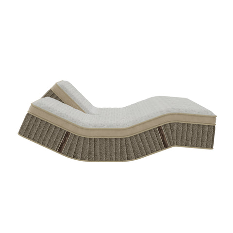 Grand Legacy Perfect Posture Medium Firm Mattress with Individual Sleep Technology